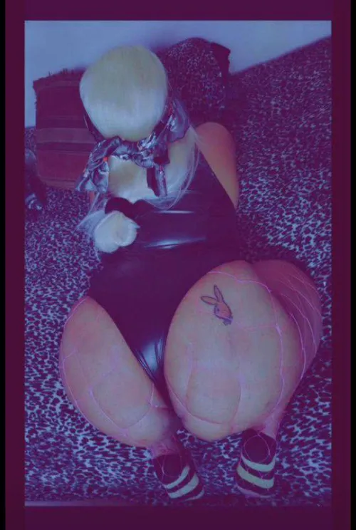 This bunny is partying this weekend for superbowl! Who's joining? by Mixed_Couple_9698