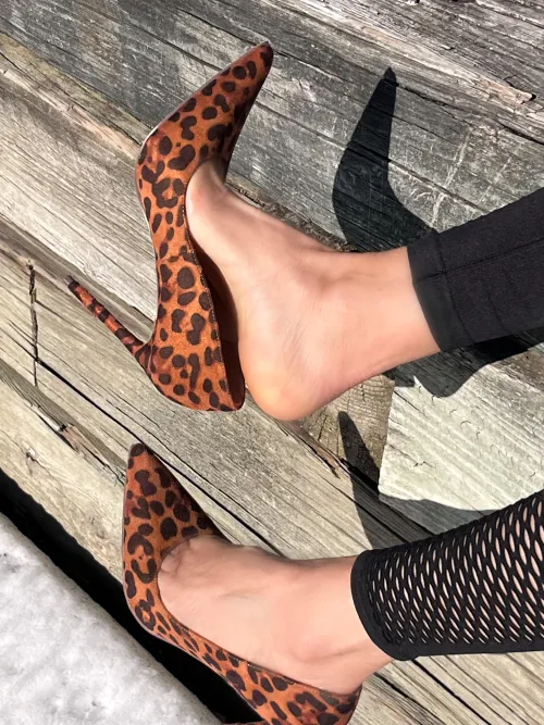 This does something for you... by Small-Forever9171