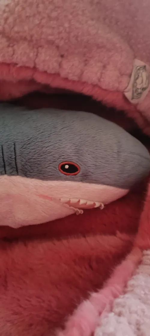 this is Esti we got her From Estonia. by Sigmadraconissys