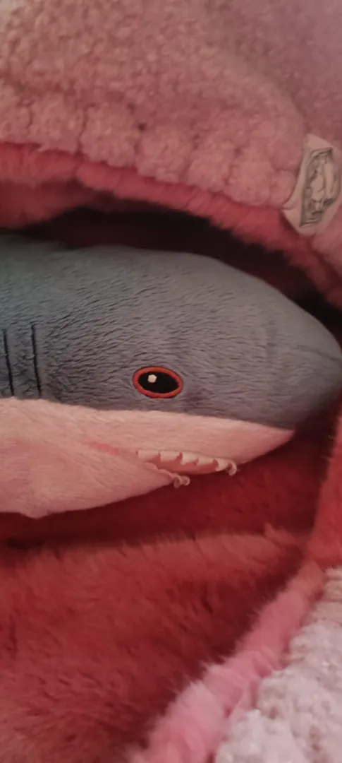 this is Esti we got her From Estonia. posted by Sigmadraconissys