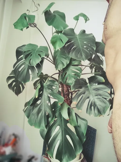 this is how we say hi to each other every morning  by camarche