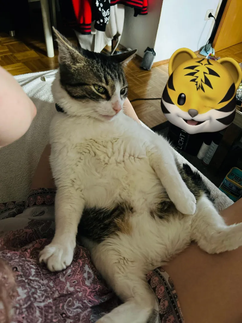 This is my sweet boy [M]  posted by Anumia