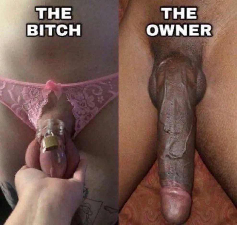 This is what a real dick is posted by gayadwait