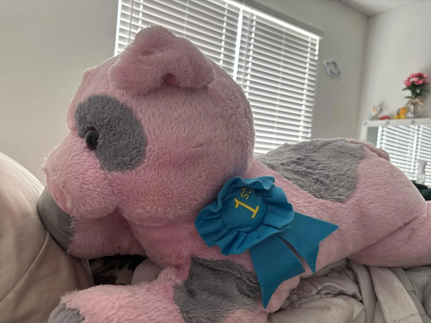 This is Wilbur he likes the nap with me! posted by The_Ending_Bun