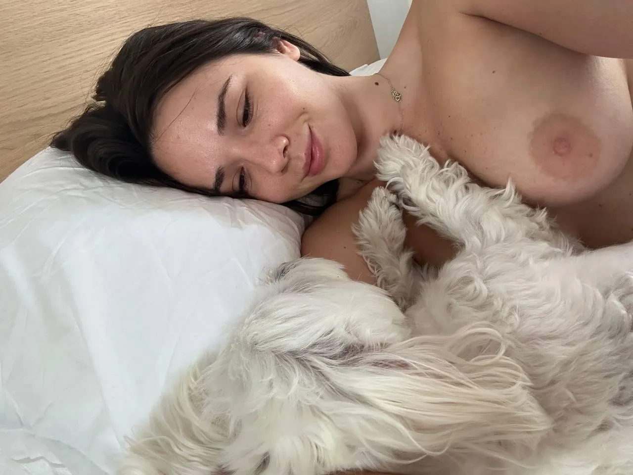 this lucky dog posted by catzy007