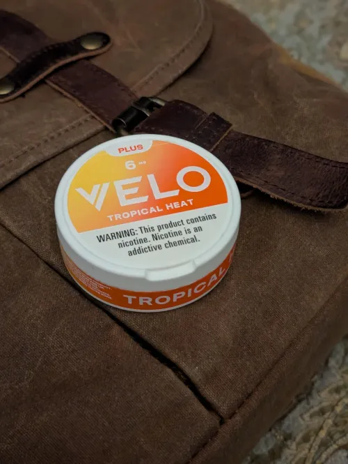 This shit slaps by Cancel_Tradition7