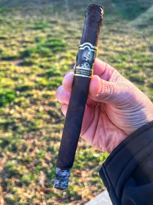 This Tabernacle Was Hard to Put Down by HumanChallet