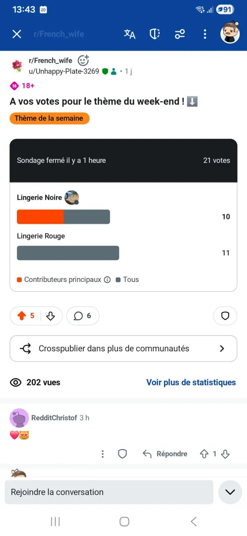 Thème du week-end ! posted by Unhappy-Plate-3269