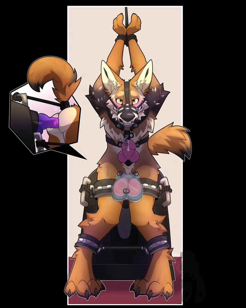 Tied to the ride (yiffy1234) posted by extro_introverted