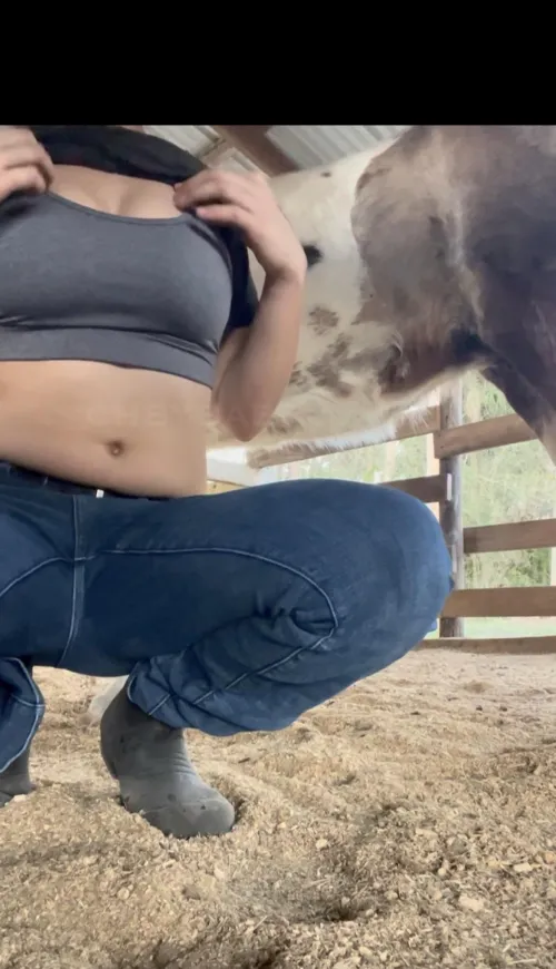 Time for farm chores by cheybabby_777