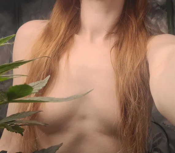 Tits & Leaves by EnthusiasticScribe