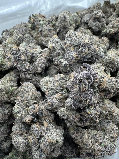 Toad venom by gassyguyy