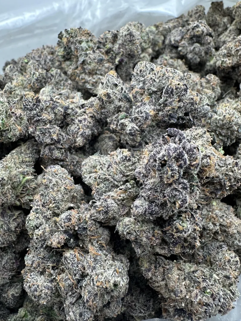 Toad venom posted by gassyguyy