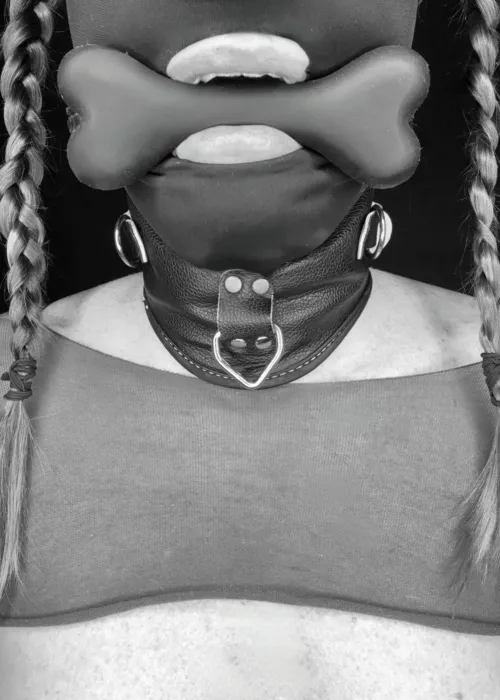 Today is bone gag day to remind me I am an obedient and submissive anal pet slave. by barbarapet07