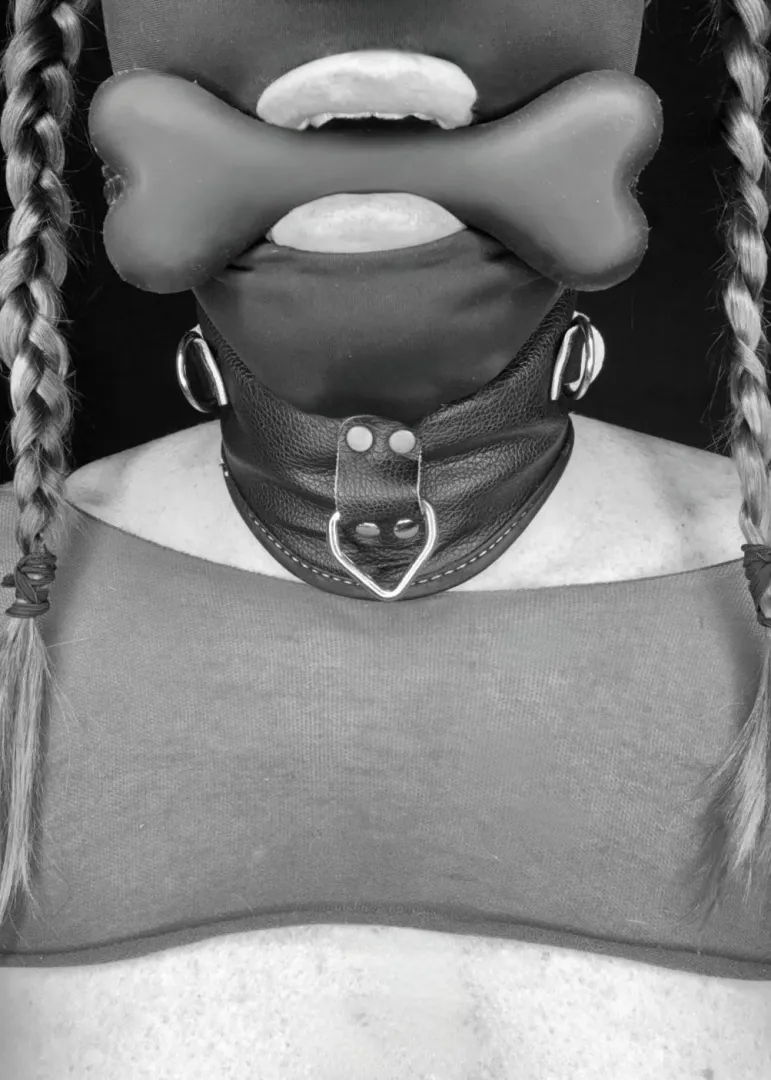 Today is bone gag day to remind me I am an obedient and submissive anal pet slave. posted by barbarapet07
