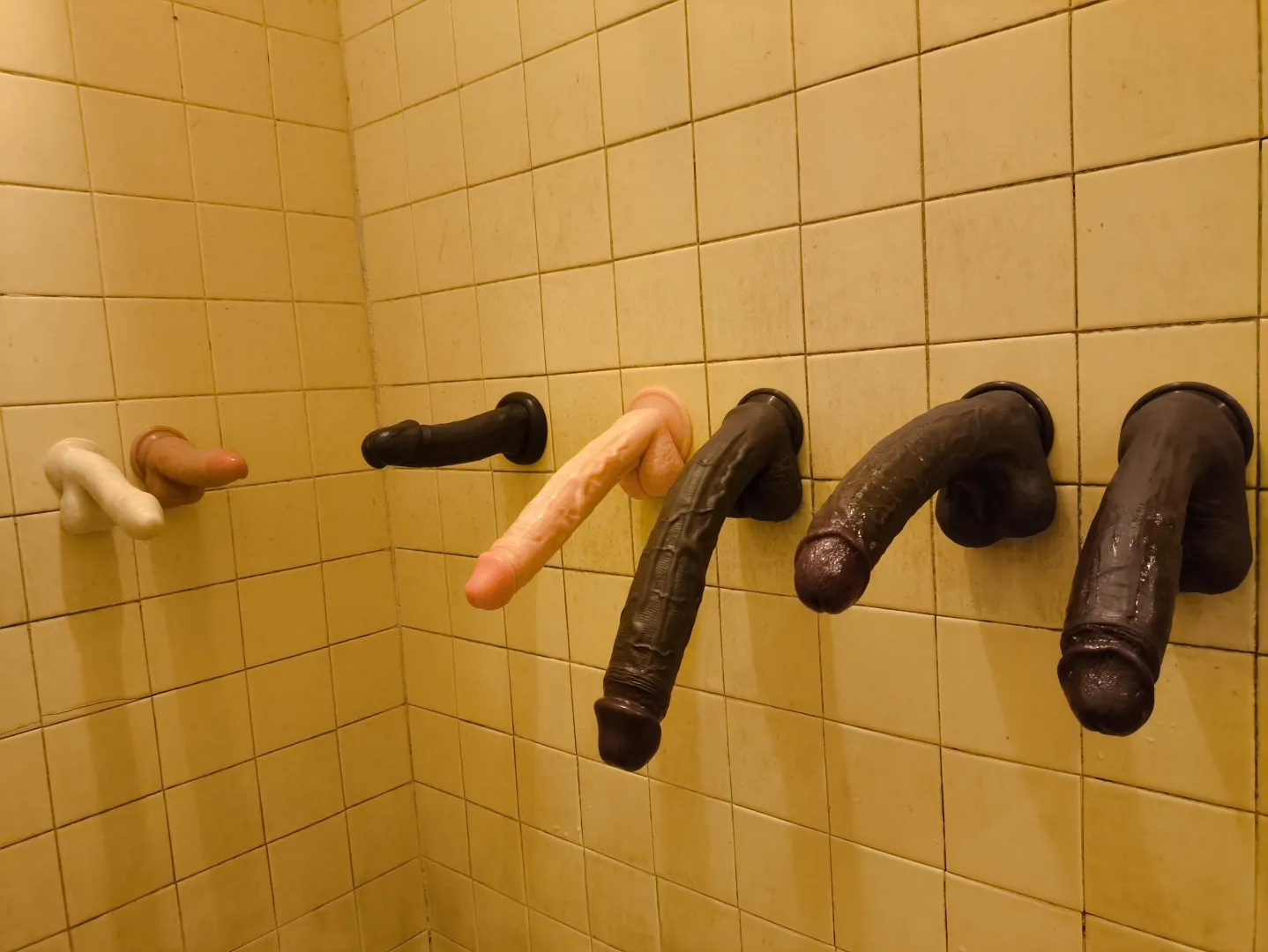 Today was a buffet  posted by Frida_Olive