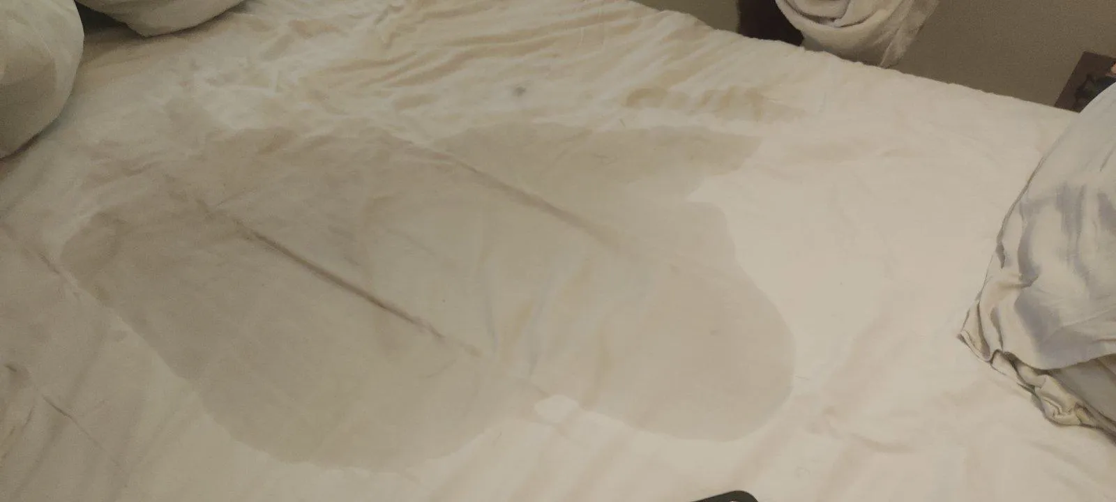 Today's fountain works! posted by First-Recognition909