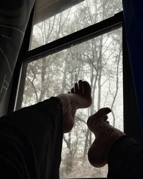 Today’s view by DameTuSole