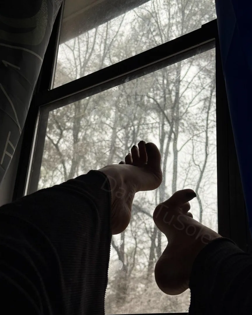 Today’s view posted by DameTuSole