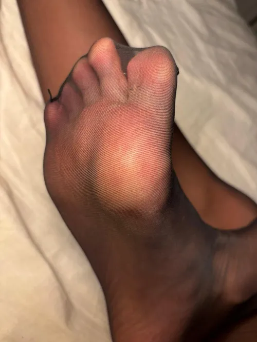 Toes in hose indeed. by ToeTeezX