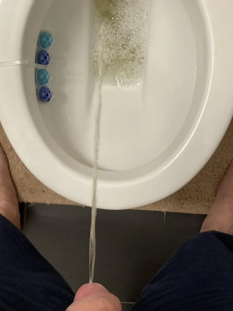 Toilette posted by Ludrouge641