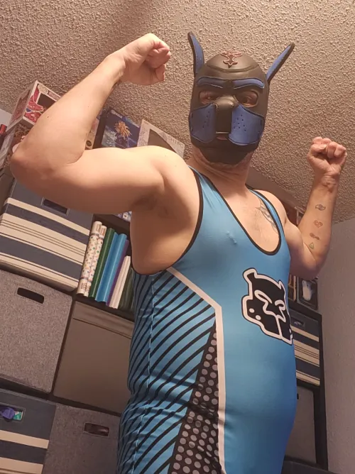 Took this before a night of video games, what do you all think by gayblue_pup