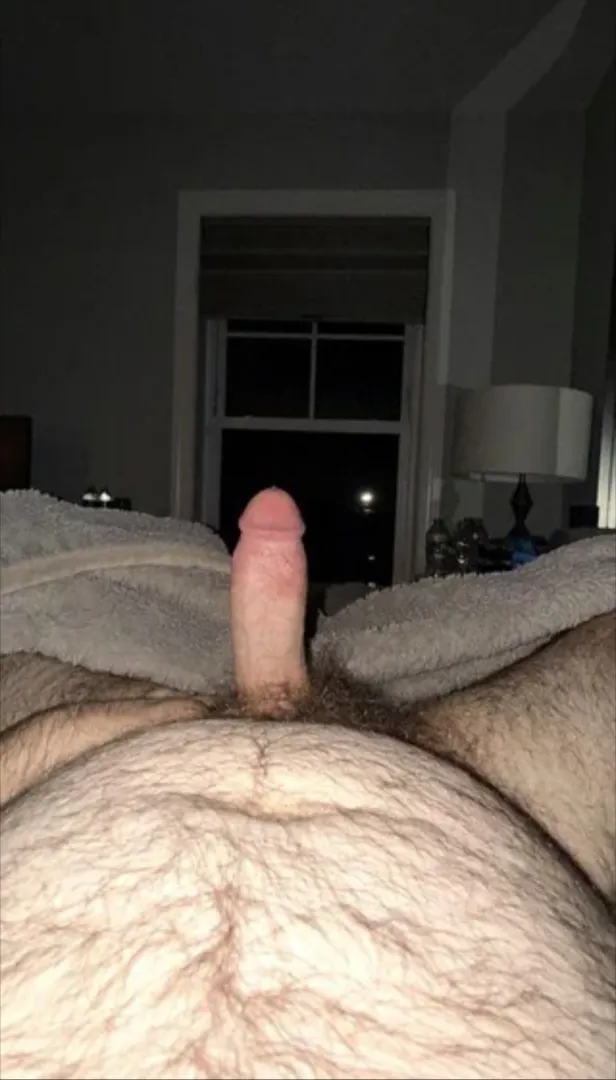 Top bear looking for bottom posted by shane35901