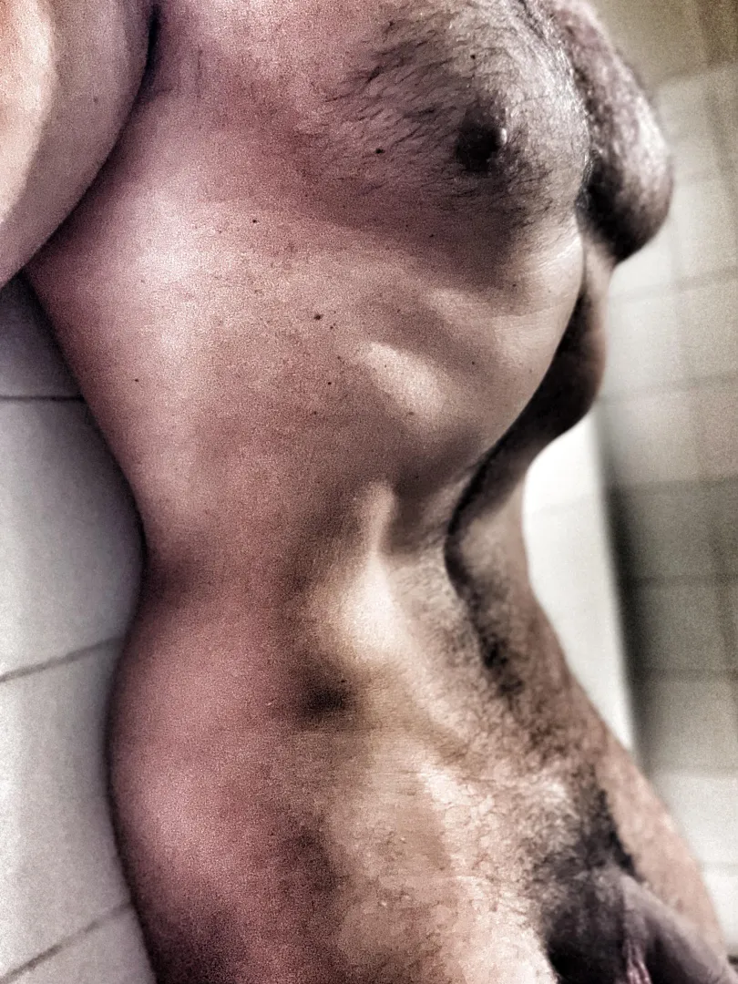 Torso  HotGymAddict posted by CryptographerBig2790