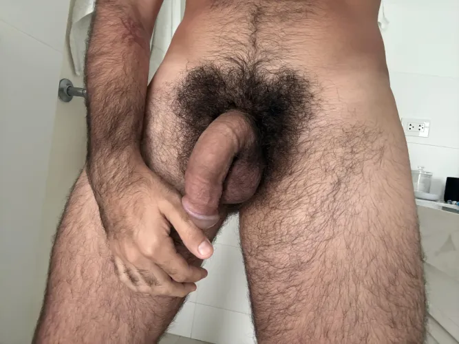 Trail leading to my hairy plumped semi by thefurrybro