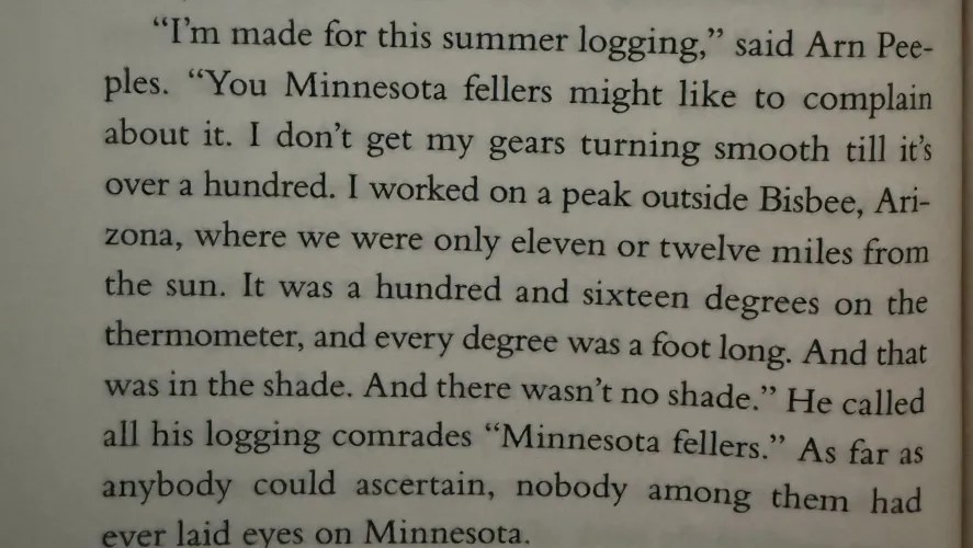 Train Dreams understands masculinity in a way that will never be replicated by Dragonfruit7041