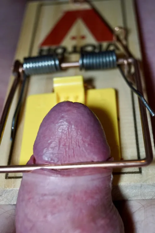 Trapped with nowhere to go by Anonymous_subb