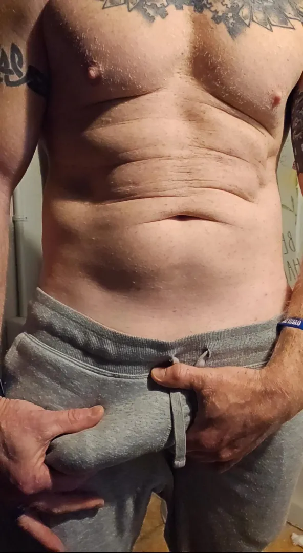 traveling Bull /stag for hot wives or vixens. Clean fixed professional traveling through Tn regularly very familiar with bull/stag scenarios highly recommended in the swinger communities posted by housecall3