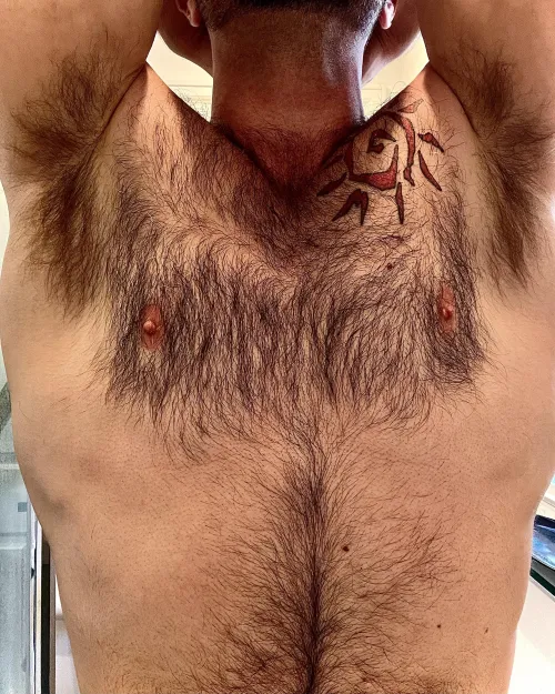 Tree growing into the heavens by MeditateWithMiles