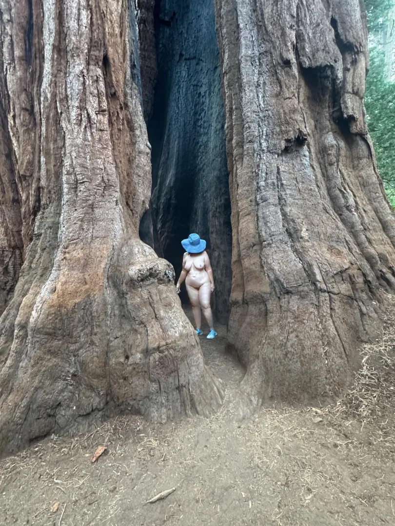 Tree Pose Tuesday  posted by MrsDarling55