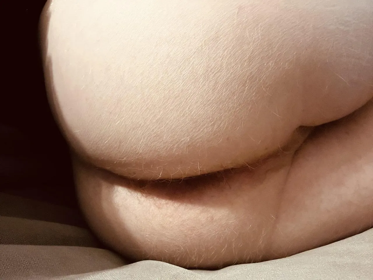 Tribute me? posted by Fine_Theory822