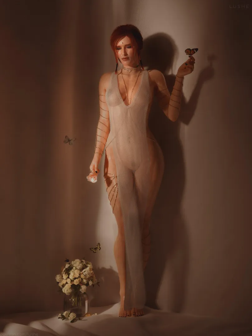 Triss lingerie (lushe3D) posted by Visual_Bag_4105