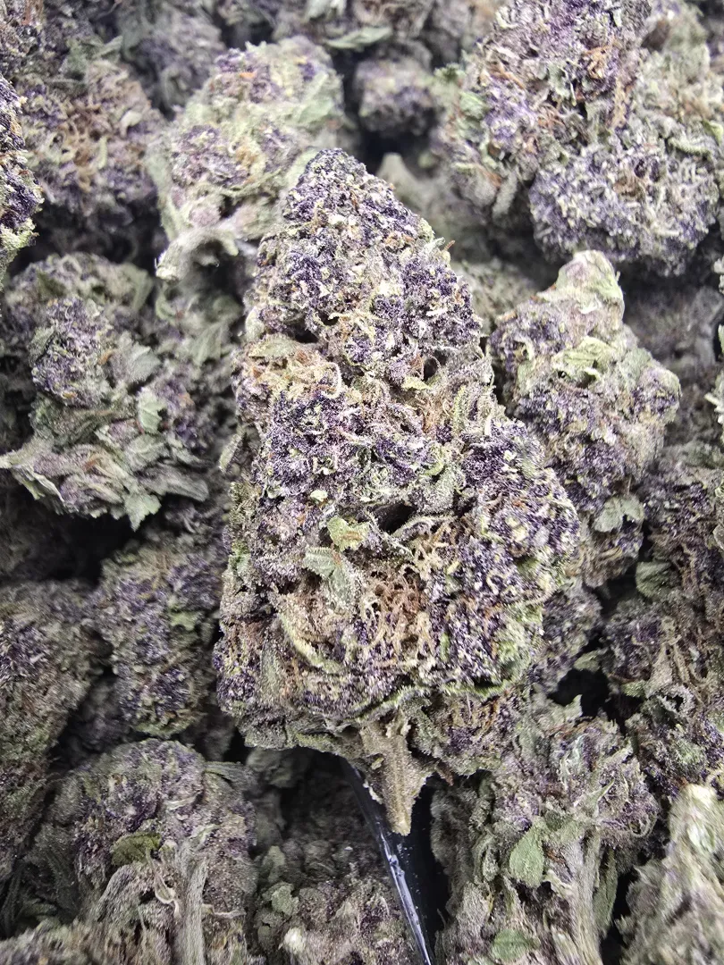 Tropical cherry posted by blowingtrees214