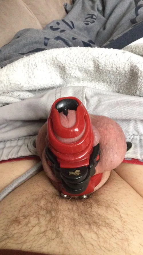 Try my PA by reddithussar69