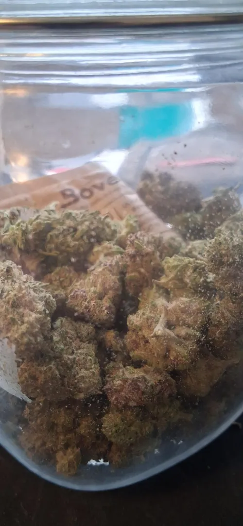 TSB-GDP by ShottyBlastin101