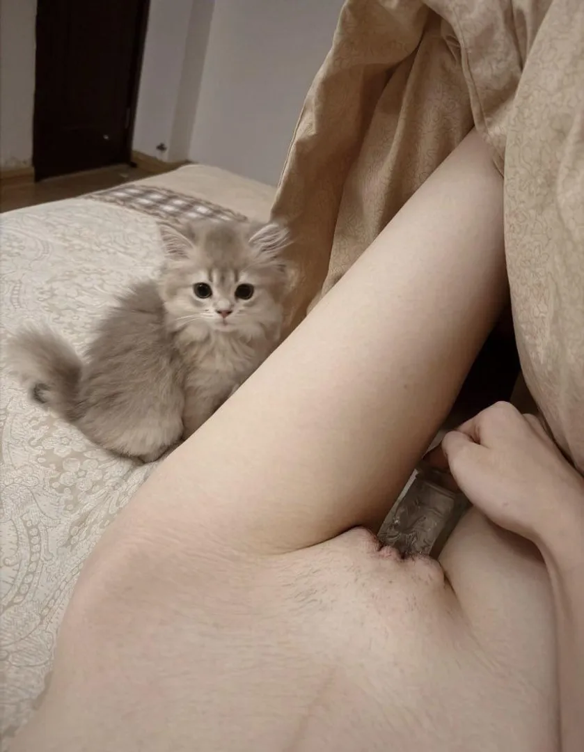 Tu pousse ou tu retire pour mettre la tienne ? posted by discretejeanne