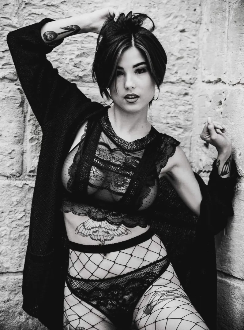 Tuesday posted by MaloLupoCorporatio