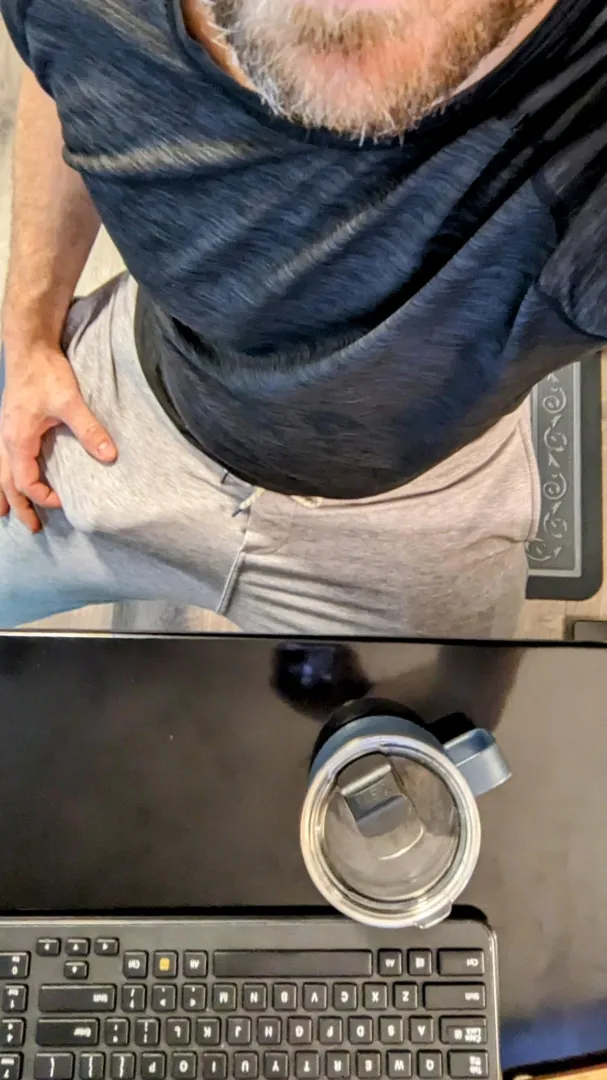 Typical WFH day posted by PNWGuyNextDoor