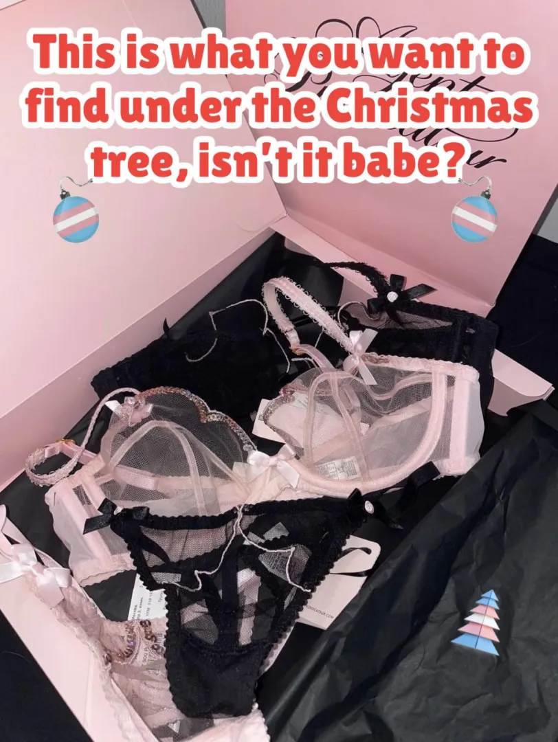 U would love to get lingerie for Christmas posted by Dangerous-Chair-190
