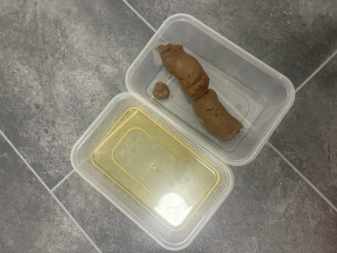 (Uk) your next meal is served. Scat tub or vac sealed. Discreet shipping to lockers or Royal mail next day delivery include video by Pitiful_Current_944