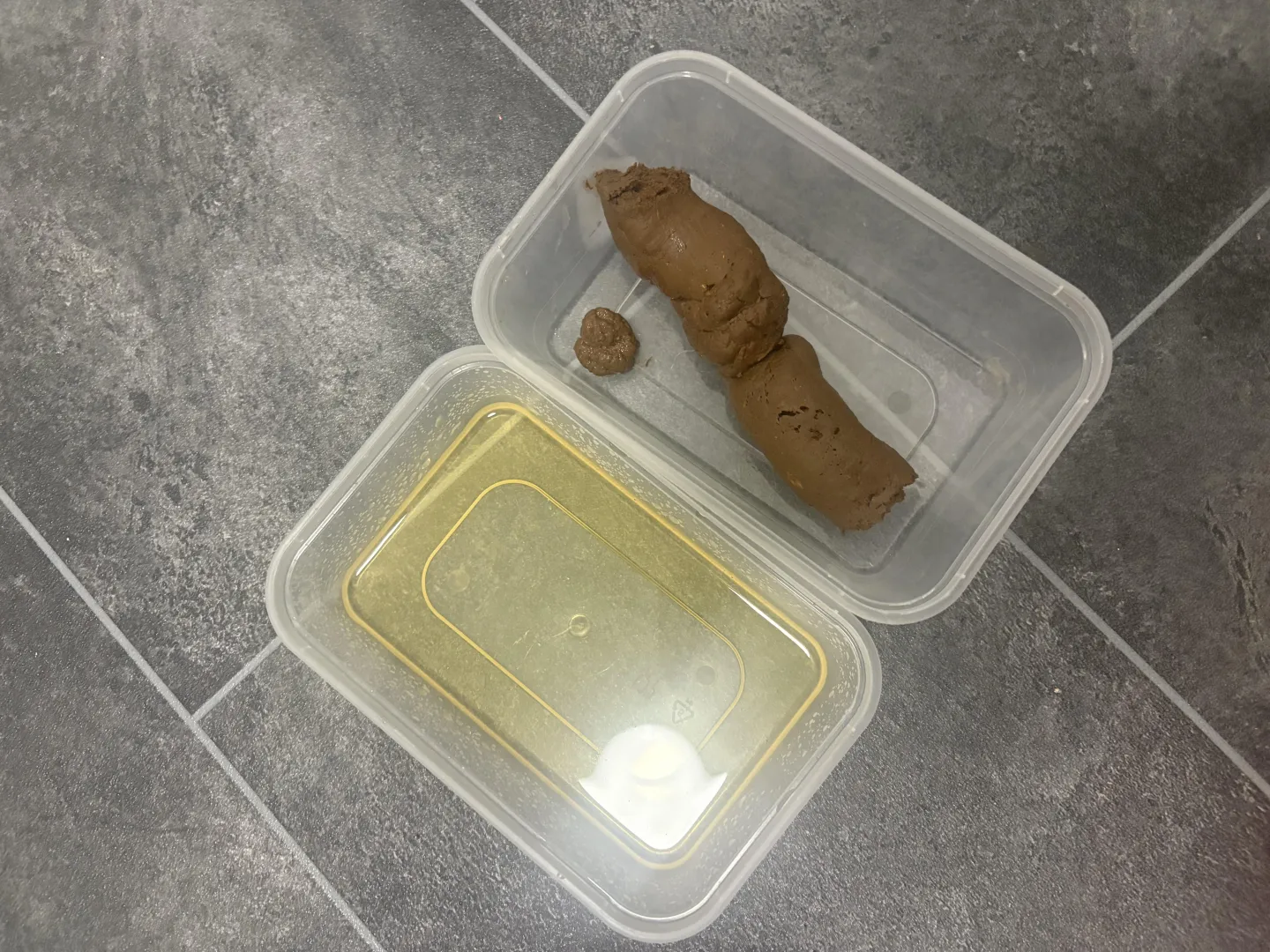 (Uk) your next meal is served. Scat tub or vac sealed. Discreet shipping to lockers or Royal mail next day delivery include video posted by Pitiful_Current_944