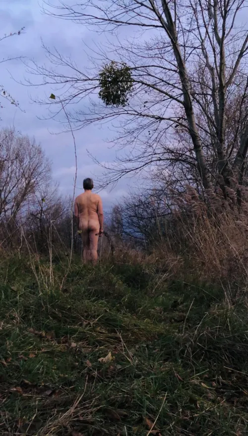 Under the mistletoe… by neomysfodienss