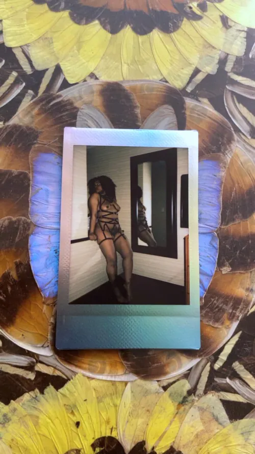 Unwrapped ✨ by HazedHoney