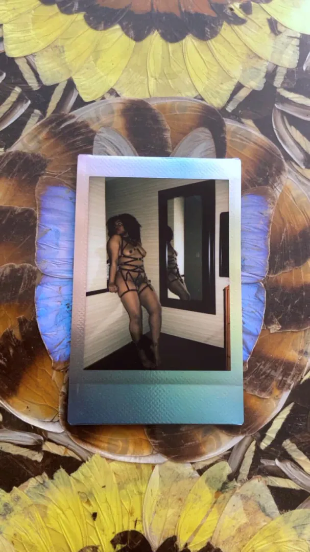 Unwrapped ✨ posted by HazedHoney