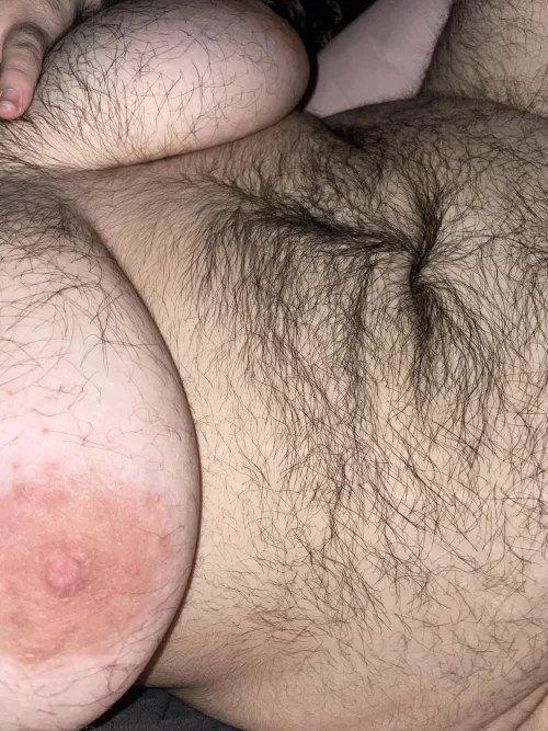 Up close with a transbear by GooseDLLAL