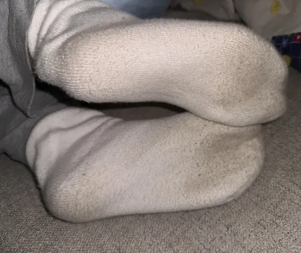 up late to get a sniff?  by Low-Anxiety3998